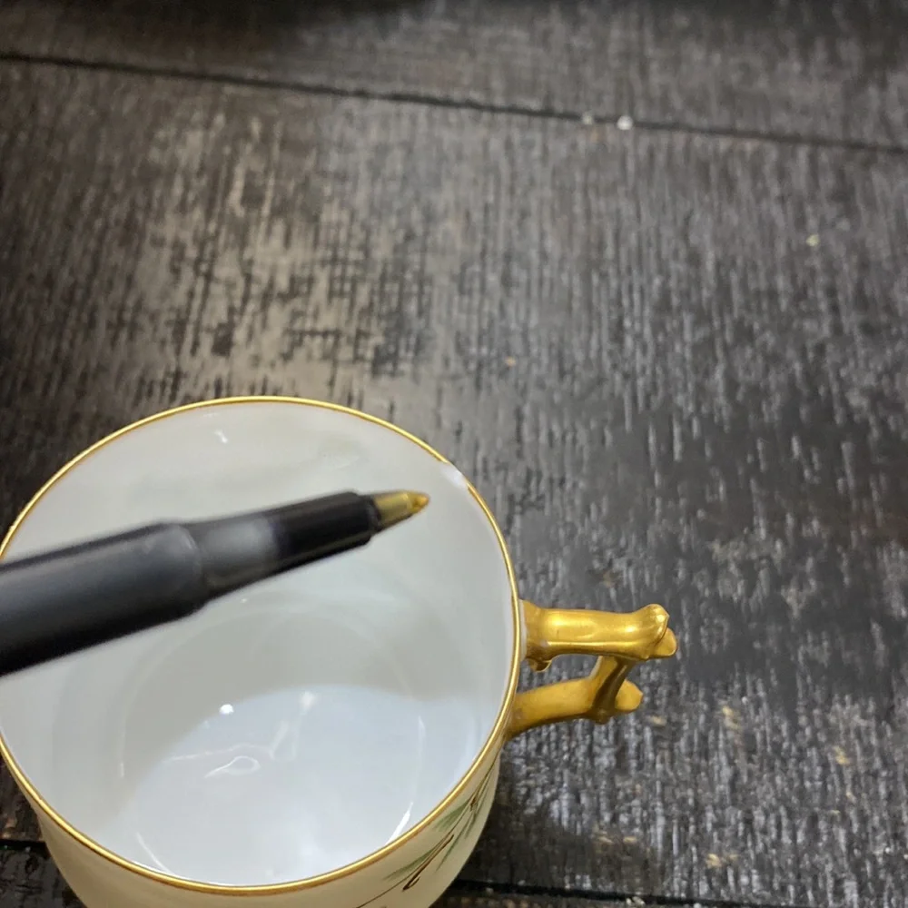 Antique Hand Painted Tea Cup & Saucer Set!